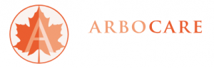 Arbocare